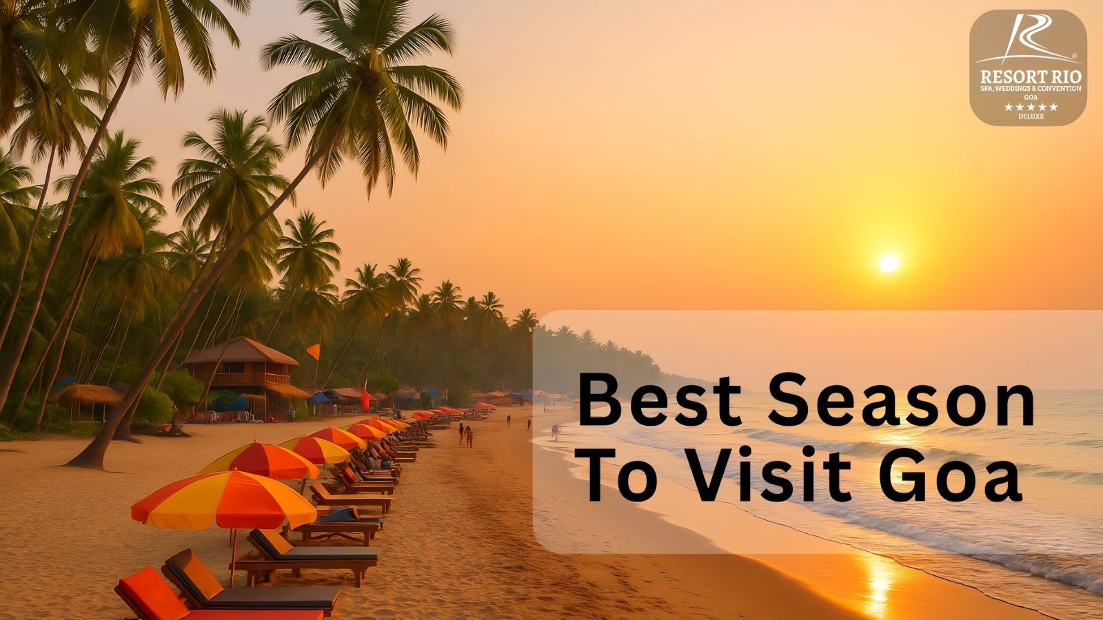 Best Season to Visit Goa – When Sun, Sea & Festivals Shine