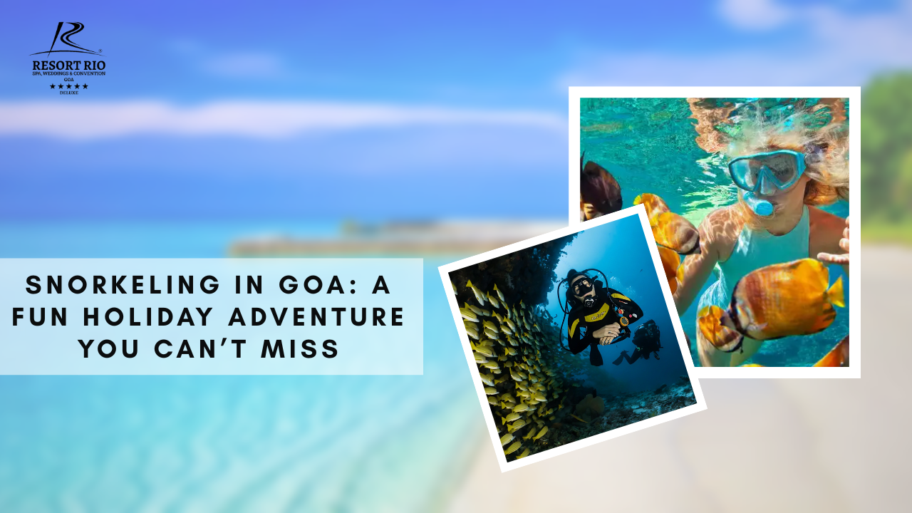Snorkeling in Goa