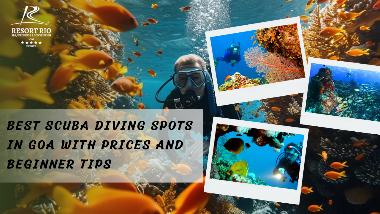 Scuba Diving Spots in Goa