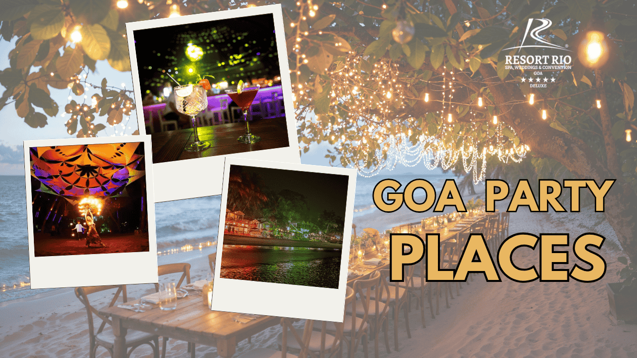 Goa Party Places for Music Lovers
