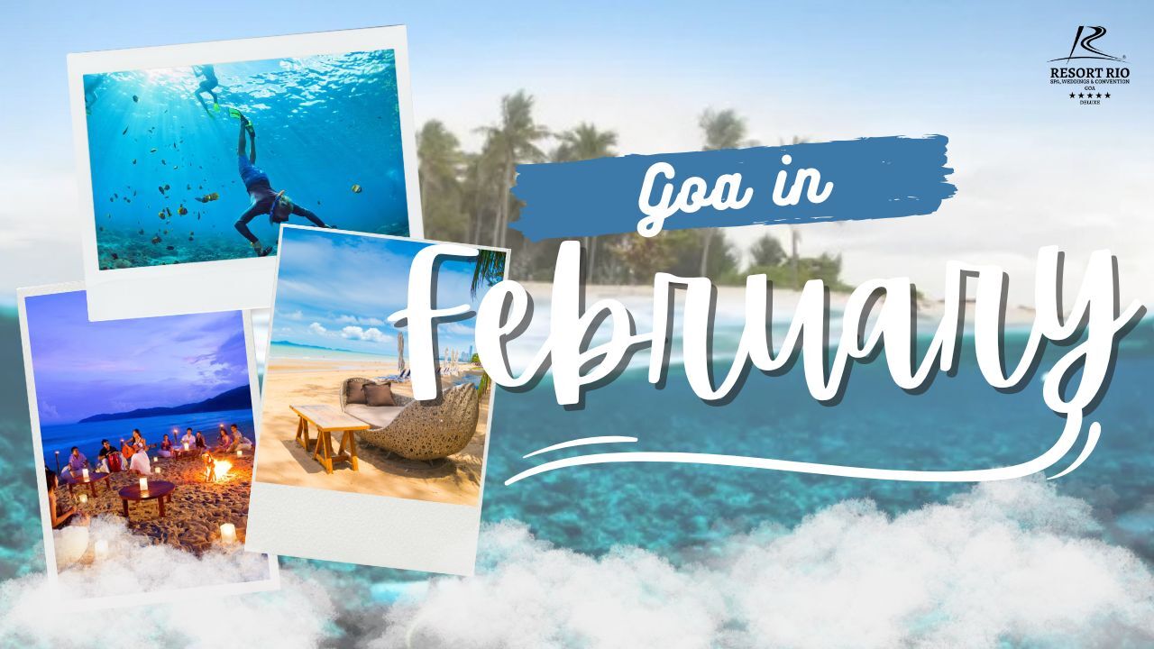 Top 15 Reasons for Visiting Goa in February