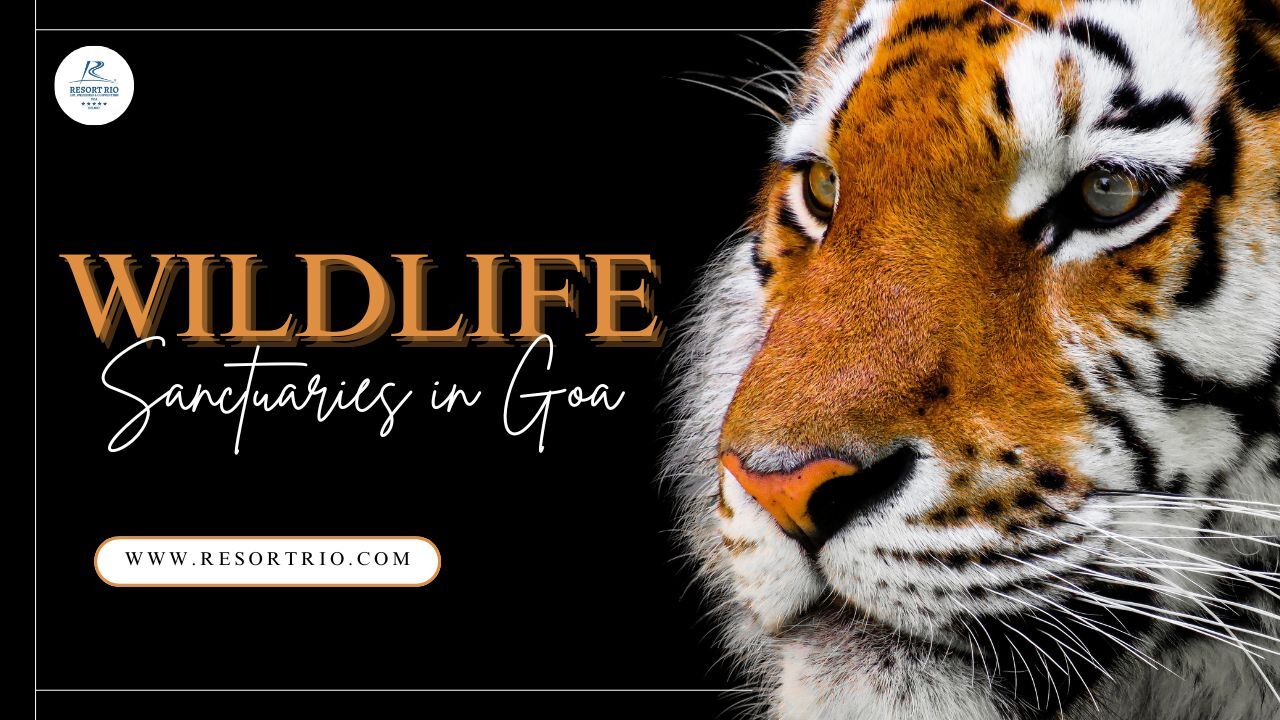 Top 15 Wildlife Sanctuaries in Goa You Must Visit in 2026