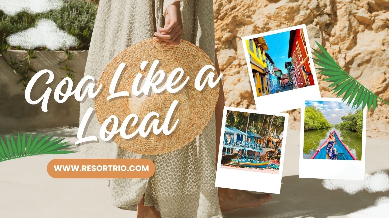 non touristry things to Do in Goa